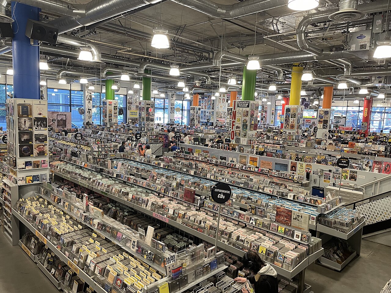 Amoeba