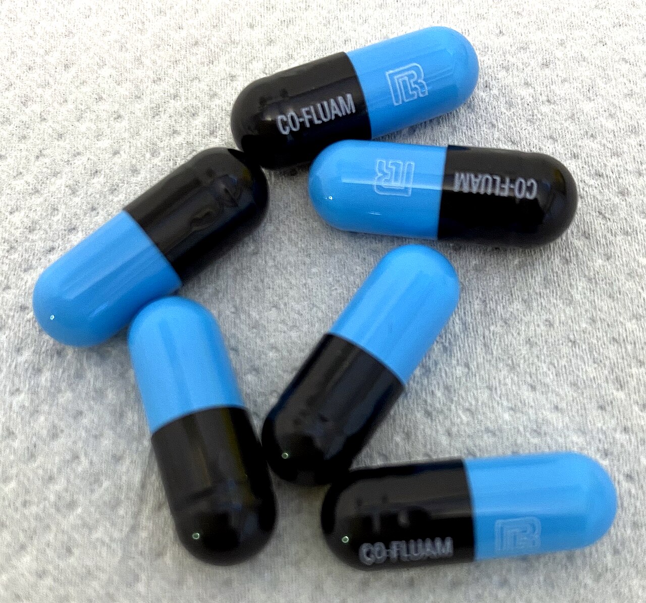 Bacterial capsule