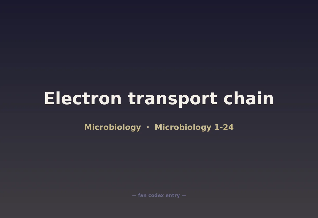 Electron transport chain