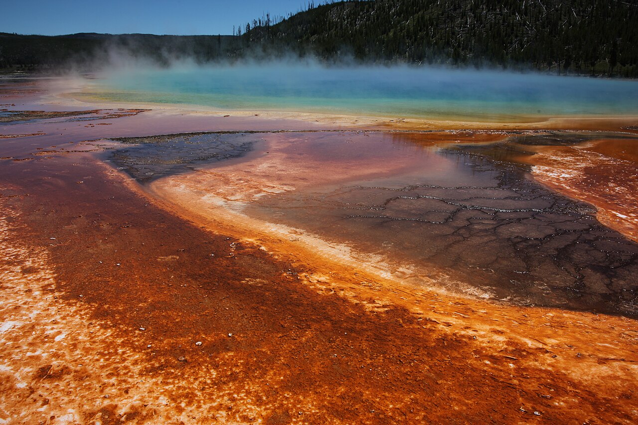 Extremophile